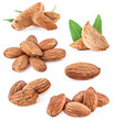 Collections of almonds isolated on white background
