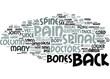 Back Pain and Diagnosis