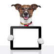 business dog tablet pc ebook touch pad