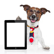 business dog tablet pc ebook