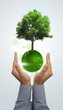 Photo: Eco green earth with green tree in businessman's hand Eco green earth with green tree in businessman's hand