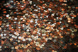 Pennies