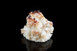 Coconut panellet. Cataln cuisine