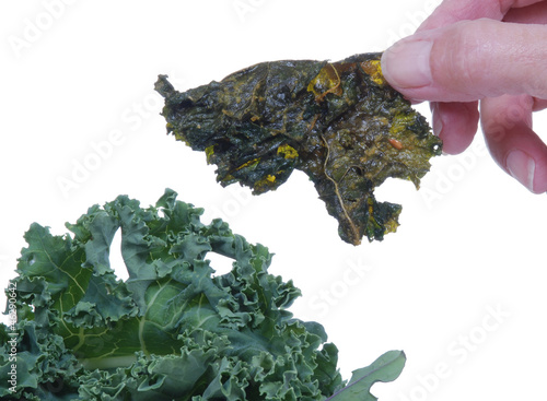Photo: Kale Chip near fresh kale Kale Chip near fresh kale