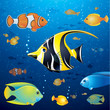 Underwater Wildlife. Vector Illustration