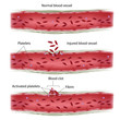 Blood clotting process, eps8