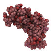 human epidermal growth factor (hEGF), chemical structure.