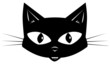 The black cat