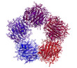 Human C-reactive protein (CRP), chemical structure.
