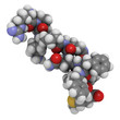 Substance P neuropeptide molecule, chemical structure.