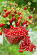Photo: Berry mix Berry mix