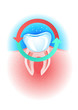 Tooth