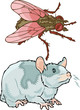 Vektor: pests pests