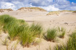 Leba National Park - Poland