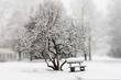 weisse Schneelandschaft