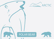 Polar bear background - vector illustration