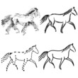 set  horses outlines. vector collection
