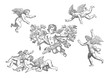 Angels illustration