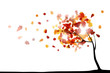 autumn background
