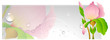 Flourish Vector Illustartion Background