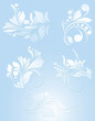 Vector: Set of Floral Vector Set of Floral Vector