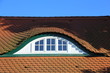 Dachluke