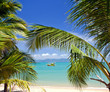 Strand-Idylle auf Koh Samui / Thailand