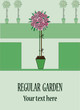 Rose  in regular garden