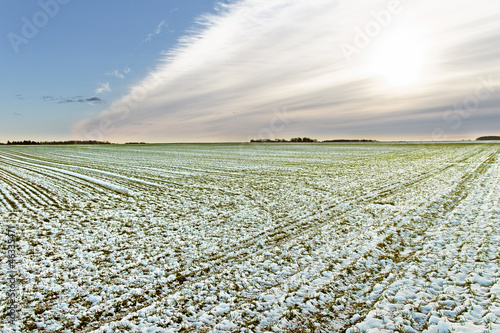 Photo: Field under snow. Field under snow.