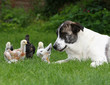Foto: Leihmutter Wanda Leihmutter Wanda
