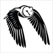 Isolated owl in flight - vector illustration