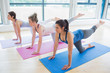 Women on mats at yoga class