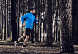 Photo: Runing in the forest Runing in the forest