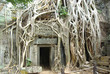 Photo : Ruins of ancient temple. Angkor wat, Cambodia Ruins of ancient temple. Angkor wat, Cambodia