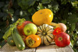 Photo: Autumn vegetable collection Autumn vegetable collection