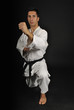 Posturas de karate. Defensa