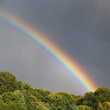 Regenbogen