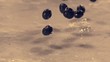 Wet blueberries falling onto marble surface (slow motion)