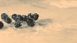 Blueberries roll across marble surface (slow motion)
