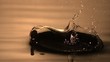 Sliver dollar skipping off of water (slow motion)
