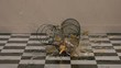A basket of eggs falling and breaks (slow motion)