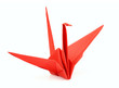 Isolated red origami bird