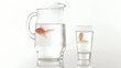 Goldfish swimming in pitcher and glass
