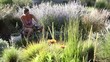 Caucasian woman gardening