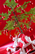 Photo: Red Christmas Red Christmas