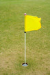 golf-flag bandiera