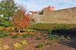 Stadtmauer mit Turm