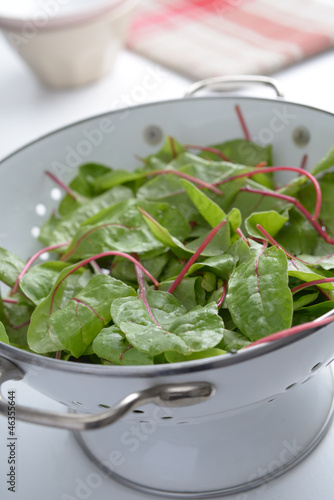 Photo: Red chard Red chard