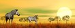 Zebras in the savannah