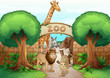a zoo and the animals